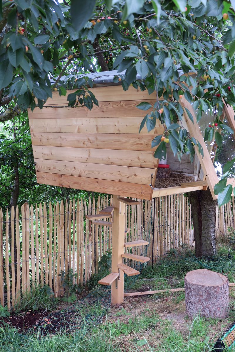 Exklusiver Hühnerstall aus Lärche - Tischlerei David Müller